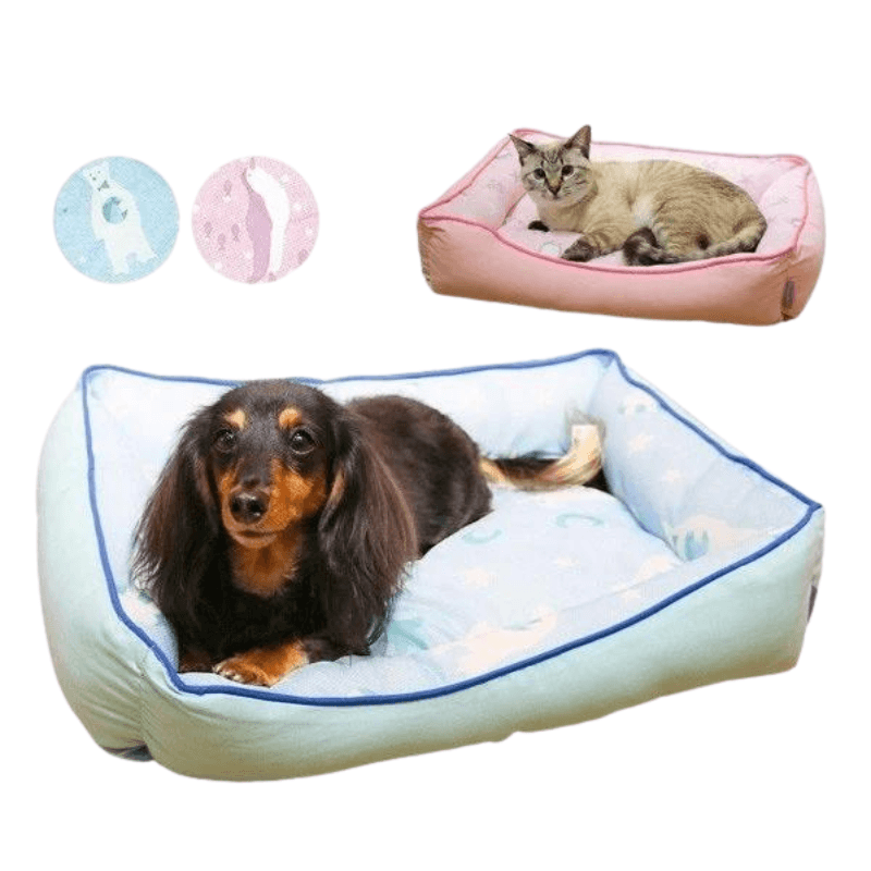 Giường nệm hộp họa tiết pastel